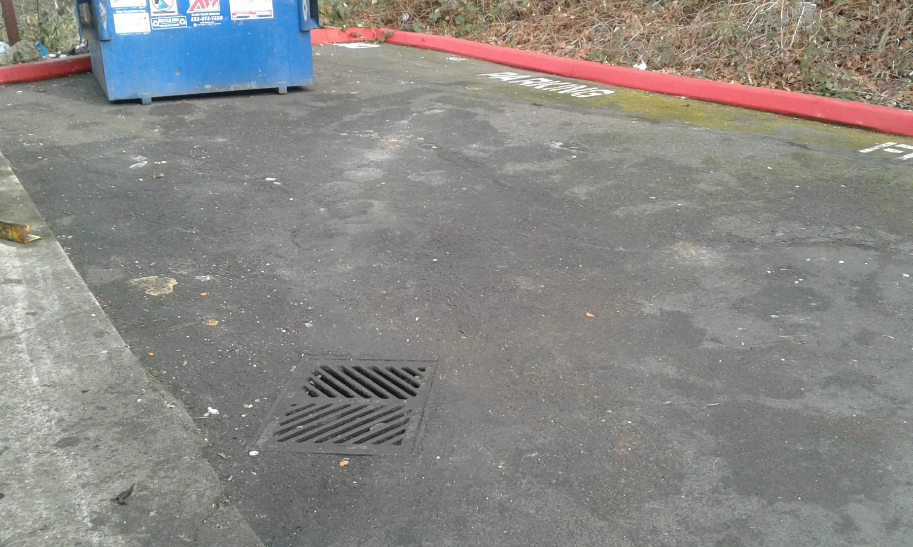 Asphalt parking lot with storm drain grate, red curb, blue dumpster, and dried vegetation