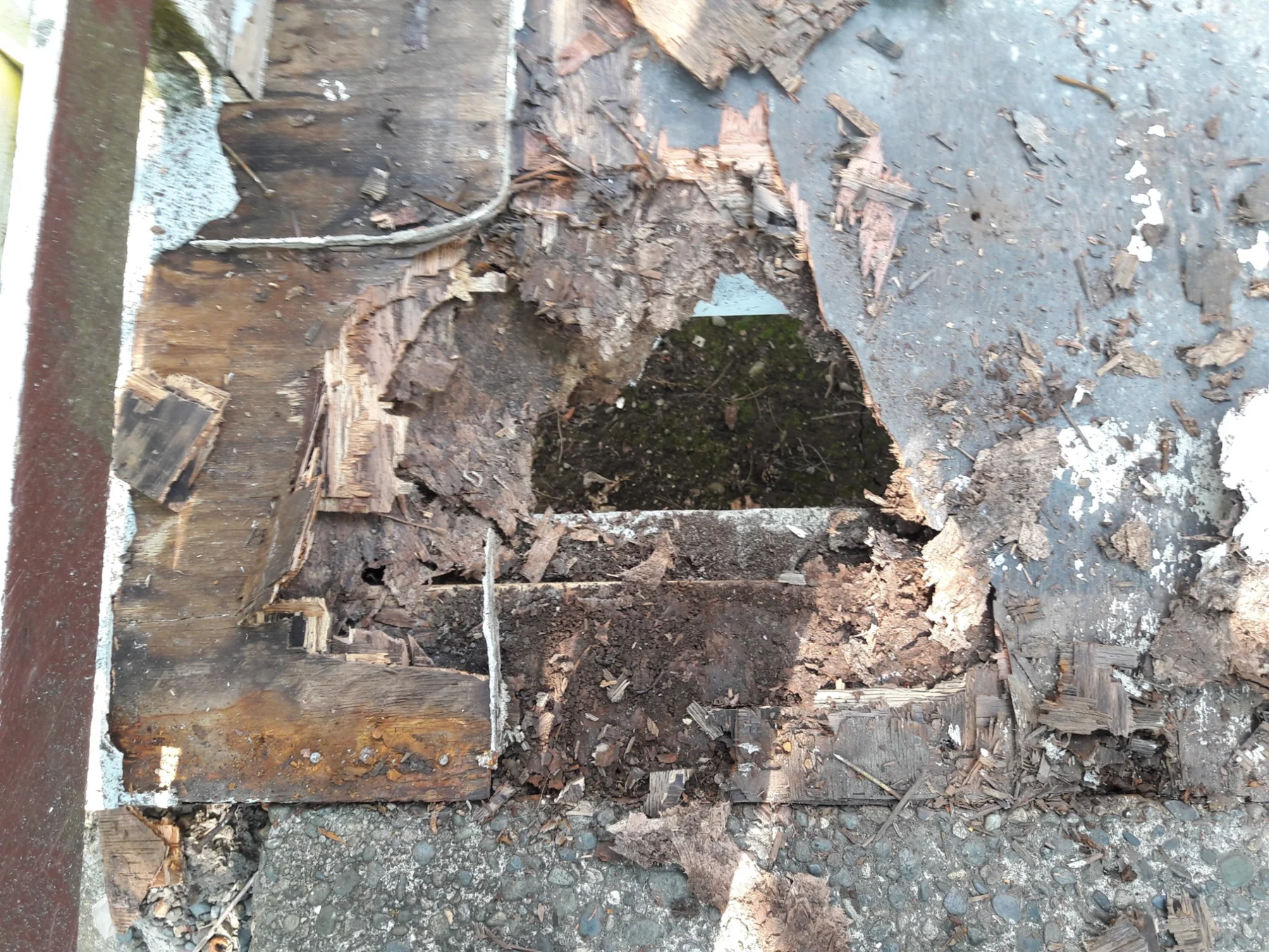 Severely deteriorated wooden box frame with peeling paint, exposed rot, and crumbling debris on concrete surface