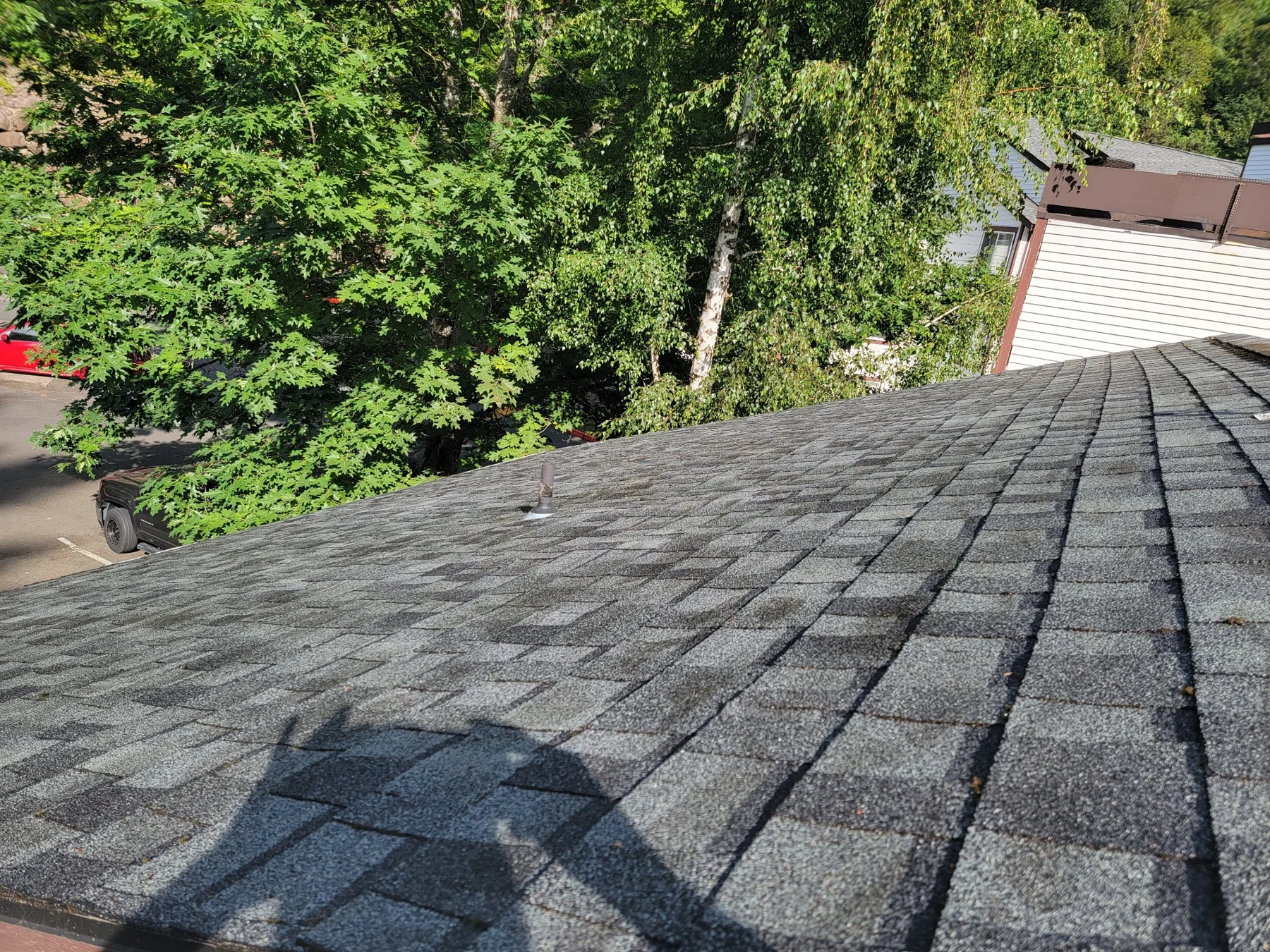 Asphalt shingle roof with visible wear and tree overgrowth adjacent to residential building