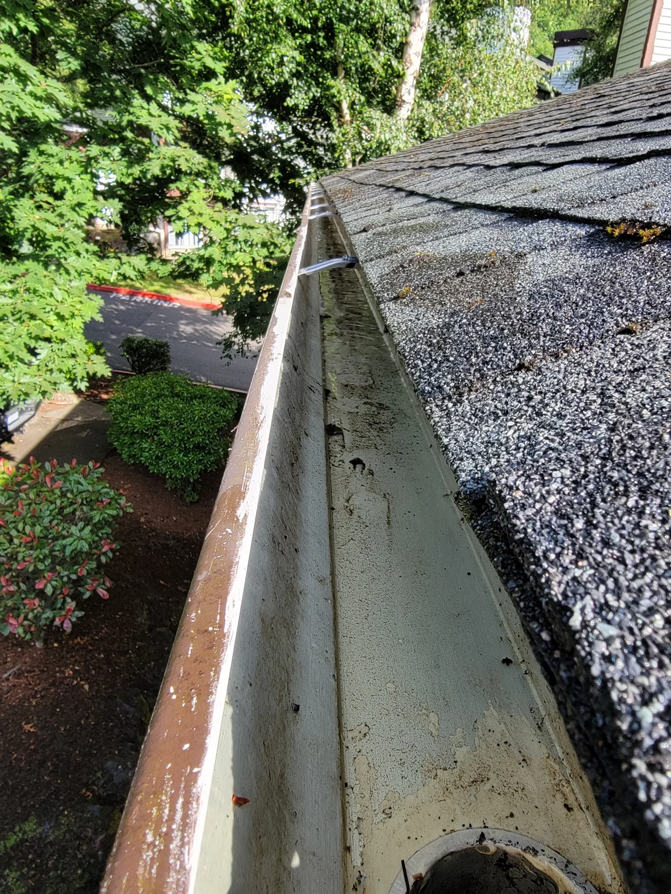 Gutter filled with debris alongside asphalt roof shingles and landscaping